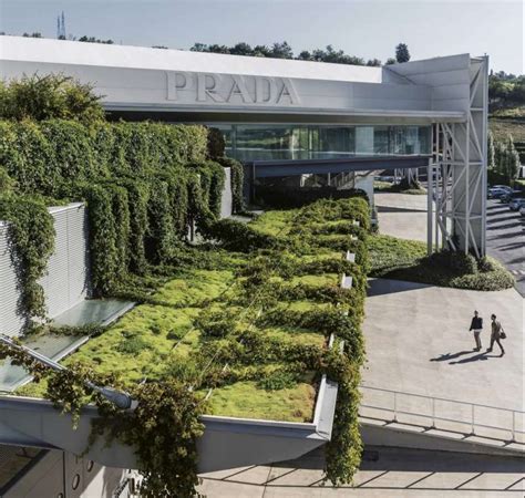 stabilimento prada terranuova bracciolini|gruppo prada nuova maglia.